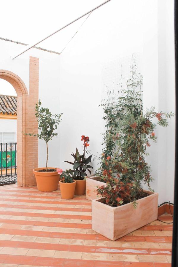 Monkeys Apartments Pureza House Seville Exterior photo